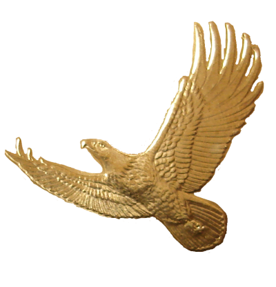golden eagle in flight. Free Eagle in Flight