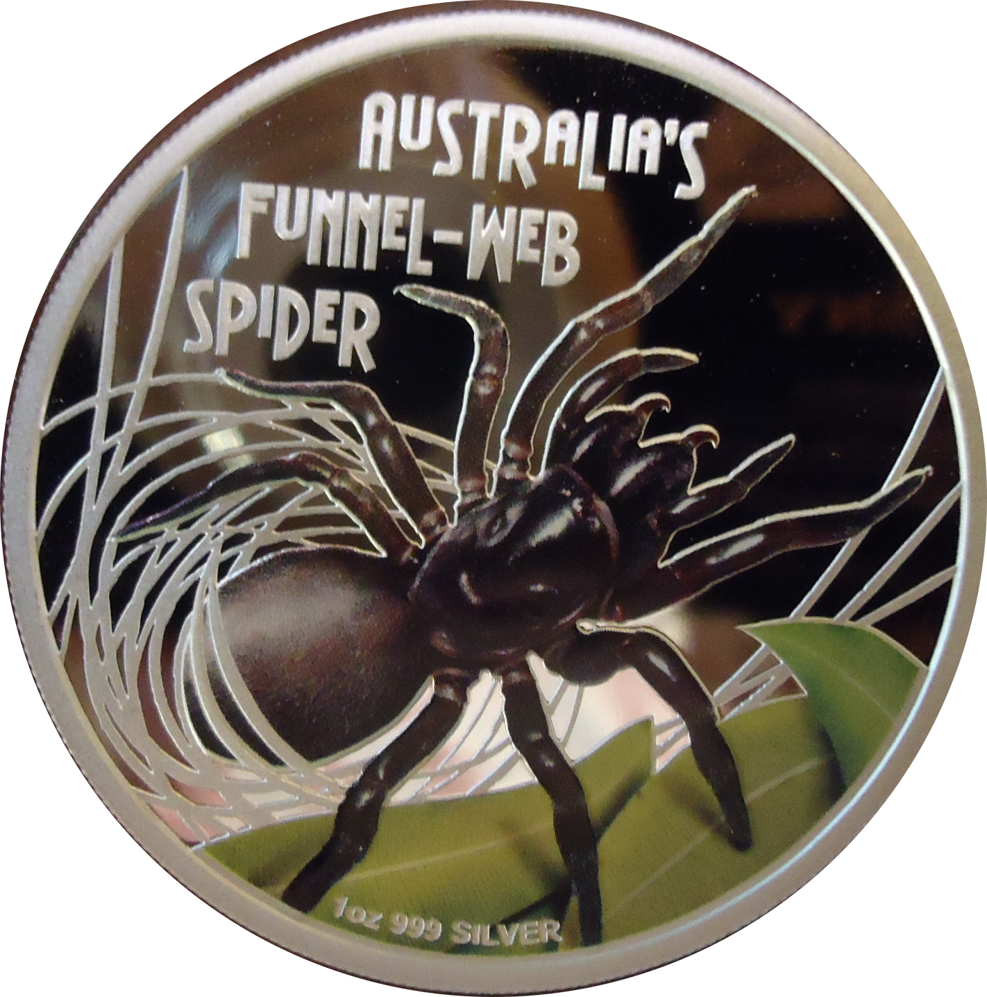 Funnel Web Spider Coin