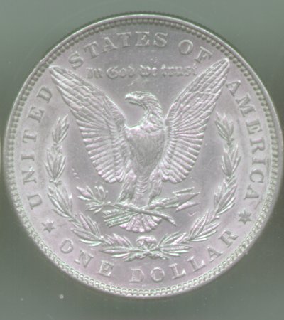 Morgan 1884 Reverse