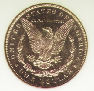 Morgan 1886 Reverse