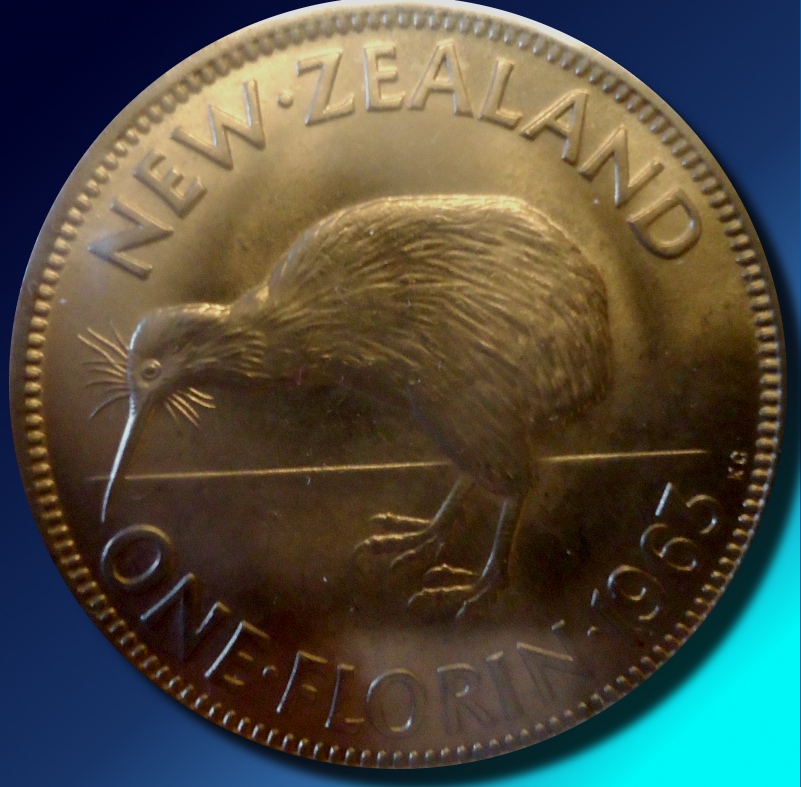 Kiwi Florin Reverse