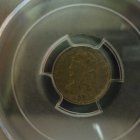 thumbnails/027-DSC09077.JPG.small.jpeg