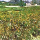 thumbnails/024-vincent-v-gogh-wheat-field-at-auvers-with-white-house.jpg.small.jpeg