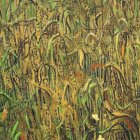 thumbnails/027-vincent-v-gogh-ears-of-wheat.jpg.small.jpeg