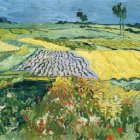 thumbnails/040-new_vincent-van-gogh-fields-near-auvers.jpg.small.jpeg