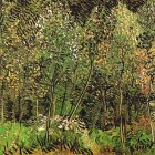 thumbnails/067-vincent-v-gogh-the-grove.jpg.small.jpeg