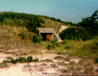 Battery Kessler, 1981