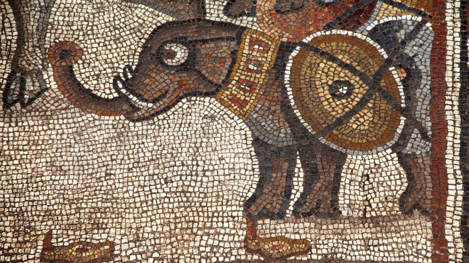 The Huqoq synagogue's 5th century mosaic, with the upper register showing a war elephant. (photo credit: Jim Haberman)