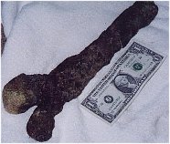 human femur bone found in the Red Sea